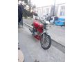 Sahibinden Kuba Çita 50 R