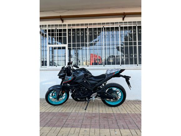 SAHİBİNDEN HATASIZ YAMAHA MT25 ABS