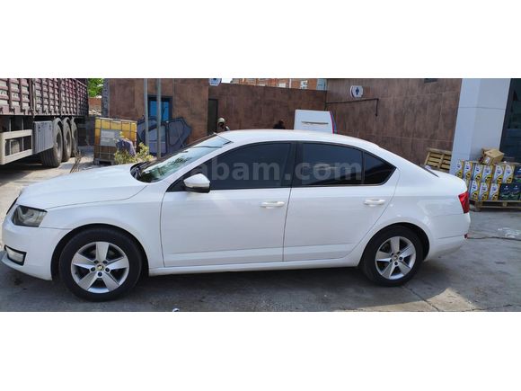 Sahibinden Skoda Octavia 1.6 TDI Optimal 2017 Model