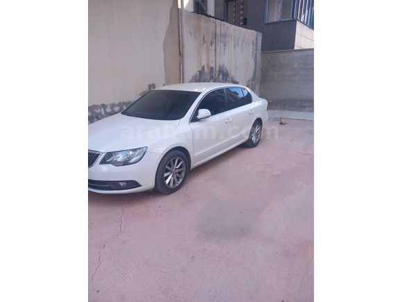 Sahibinden Skoda SuperB 1.6 TDI Ambition 2013 Model 