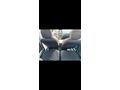 Sahibinden Citroen C2 1.4 SX 2006 Model 