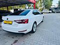 2018 TAM BAKIMLI SÜPER B PİRESTİJ CAM TAVAN HAYALET EXRAN