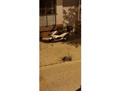 Sahibinden Honda PCX125