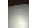 Sahibinden Renault Megane 1.4 Authentique 2008 Model