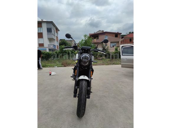 Sahibinden Benelli Leoncino 250