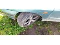 Sahibinden Renault Clio 1.4 RN 1996 Model