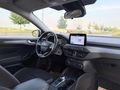 2023 MODEL FORD FOCUS HATASIZ BOYASIZ DEĞİŞENSİZ