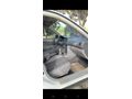 Sahibinden Toyota Corolla 1.4 Terra 2000 Model
