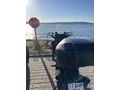 Sahibinden Honda Forza 250 SE 