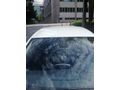 Sahibinden Renault Clio 1.2 Icon 2014 Model Ankara 150000 km Beyaz