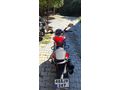 Sahibinden Bajaj Dominar 250 D
