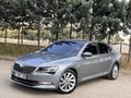 2016 BOYASIZ CAM GİBi SÜPER B