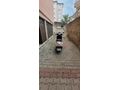 Sahibinden Honda Activa 125