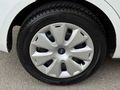 DEĞİŞENSİZ + HATASIZ + ÇİZİKSİZ + FORD FOCUS
