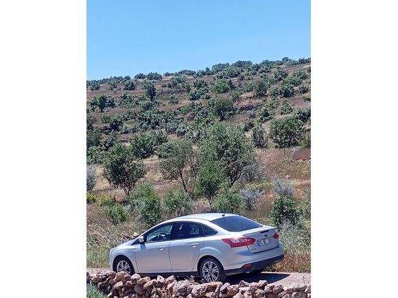 Sahibinden Ford Focus 1.6 TDCi Trend X 2014 Model
