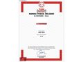 AHMET YURTLU AUTO 2025 e2008 ALLURE CAM TAV KABLOSUZ BOYASIZ