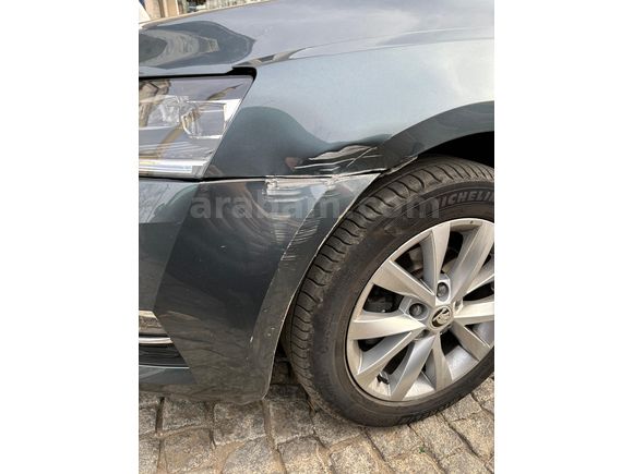 2019 SKODA OCTAVIA STYLE - CAM TAVAN