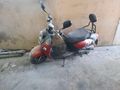 Sahibinden Kuba Trendy 50