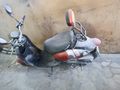 Sahibinden Kuba Trendy 50
