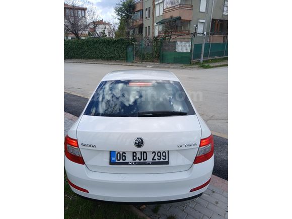 Sahibinden Skoda Octavia 1.6 TDI Optimal 2015 Model