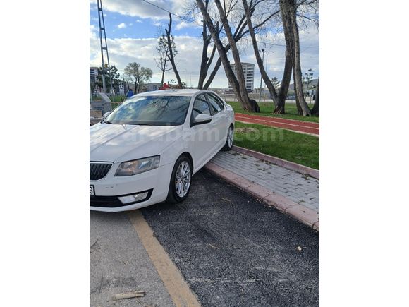 Sahibinden Skoda Octavia 1.6 TDI Optimal 2015 Model