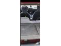 Sahibinden Suzuki Swift 1.3 GLX 1998 Model