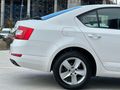 Sahibinden Skoda Octavia 1.6 TDI Optimal 2015 Model