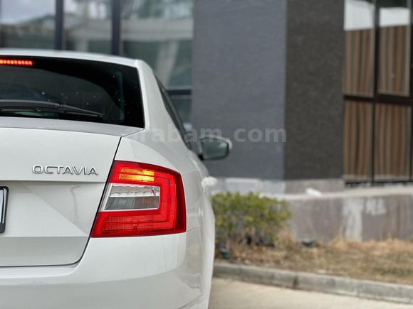 Sahibinden Skoda Octavia 1.6 TDI Optimal 2015 Model