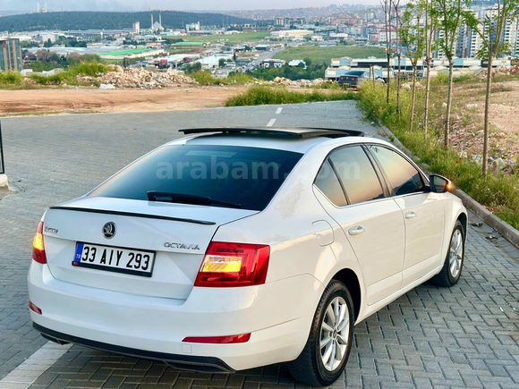  TEMİZ Octavia CAM TAVAN ENFUL PAKET 