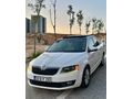  TEMİZ Octavia CAM TAVAN ENFUL PAKET 