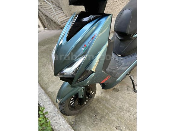 Sahibinden Kuba Pesaro 50 X 