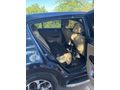 Sahibinden Kia Sportage 1.6 CRDI Cool 2019 Model 