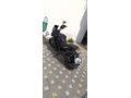 Sahibinden Bajaj Dominar 400 UG