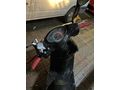 Sahibinden Honda Spacy 110 