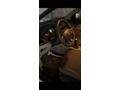 Sahibinden Renault Megane 1.5 dCi Expr orijinal nevigasyonlu  2012 Model 