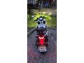 Sahibinden SYM ADX 125 İstanbul