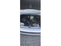 Sahibinden Volkswagen Bora 1.6 Trendline 2001 Model  325.000 km Gri (Gümüş)