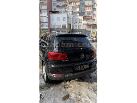 Hatasız Tr'de Tek