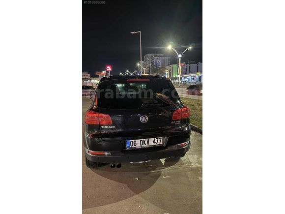 Hatasız Tr'de Tek
