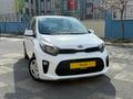 TOLCAR ( KIA PICANTO 1.0 L COOL )