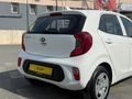 TOLCAR ( KIA PICANTO 1.0 L COOL )