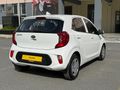 TOLCAR ( KIA PICANTO 1.0 L COOL )