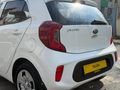 TOLCAR ( KIA PICANTO 1.0 L COOL )