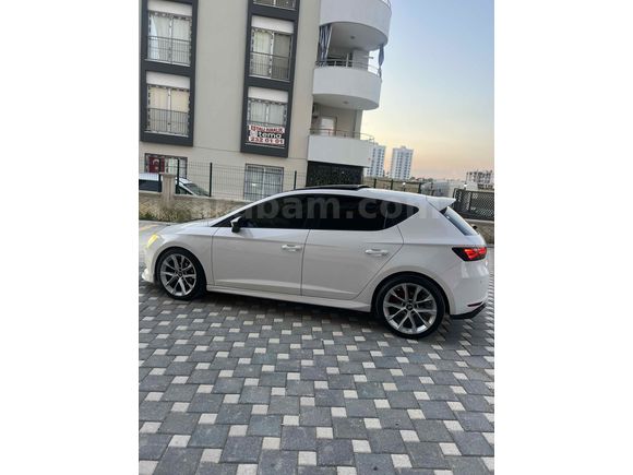 Memurdan Bakımlı Cam Tavan Otomatik Leon  