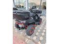 Segway 570 4*4 Full