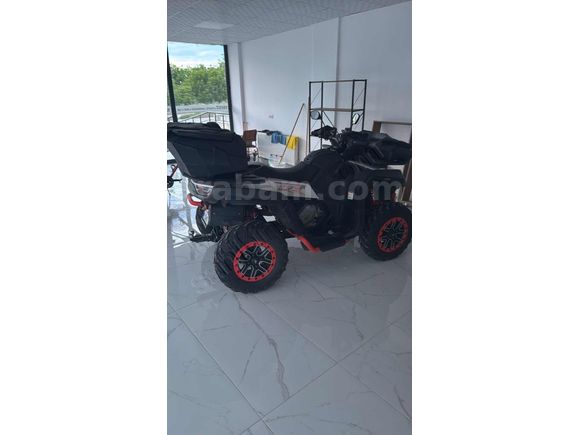 Segway 570 4*4 Full
