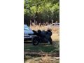 DÜŞÜK KM 250SR