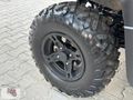 UTV___YADA__ TOPOLLINO TAKASLI___CFORCE 625