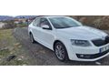 Sahibinden Skoda Octavia 1.6 TDI Elegance CR