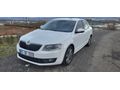 Sahibinden Skoda Octavia 1.6 TDI Elegance CR